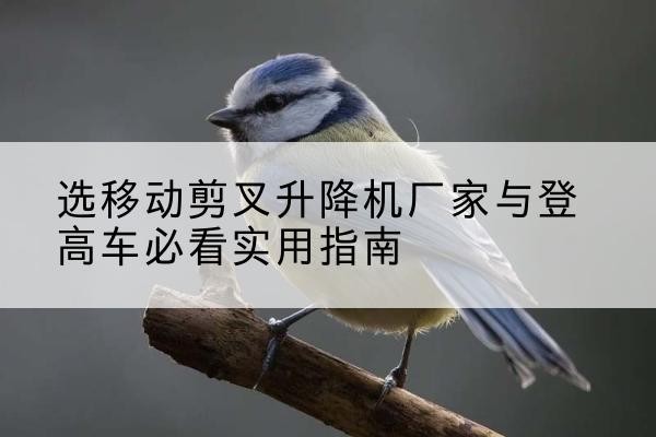 盐城电动升降机厂家-选移动剪叉升降机厂家与登高车必看实用指南