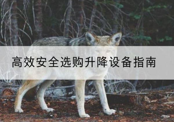 盐城升降货梯厂家推荐-*安全选购升降设备指南