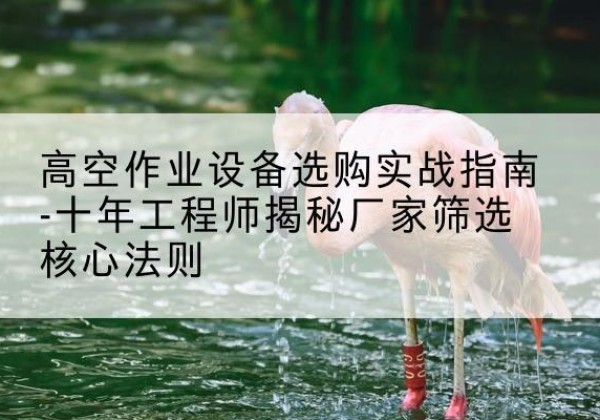 盐城剪叉式升降机厂家-高空作业设备选购实战指南-十年工程师揭秘厂家筛选核心法则
